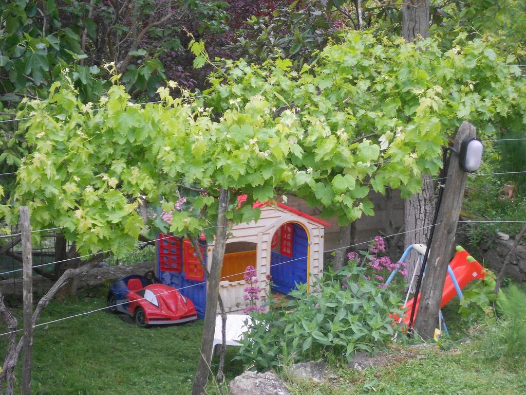 Piccolo Sogno B&B Sansepolcro Esterno foto